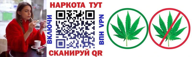 Купить закладку Злынка ОМГ ОМГ ссылки COCAIN A-PVP Меф ГАШИШ Конопля
