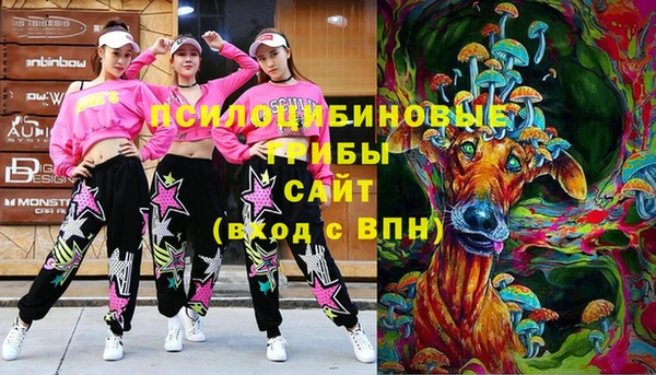 прущие крисы Инсар